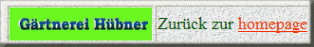 Link zur Homepage
